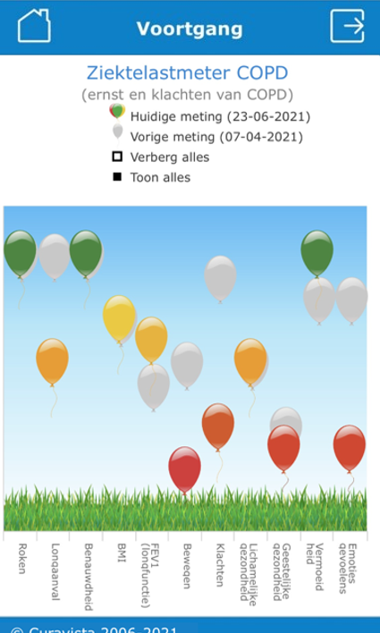 Screenshot Gezondheidsmeter: ziektelast voortgang overzicht